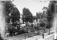 Miniatura